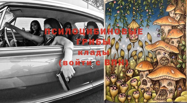 винт Алзамай