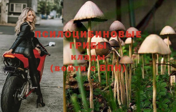винт Алзамай