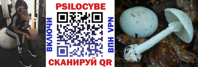 продажа наркотиков  Мензелинск  Псилоцибиновые грибы Psilocybine cubensis 
